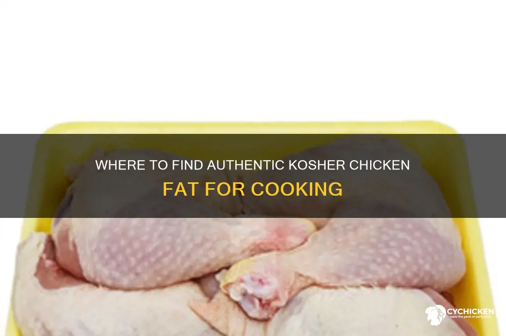 where to buy kosher chicken fat