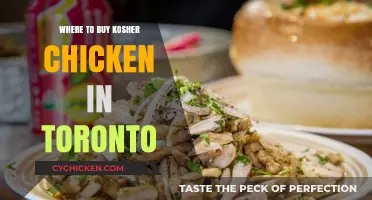 Toronto's Top Spots for Fresh, Certified Kosher Chicken Purchases
