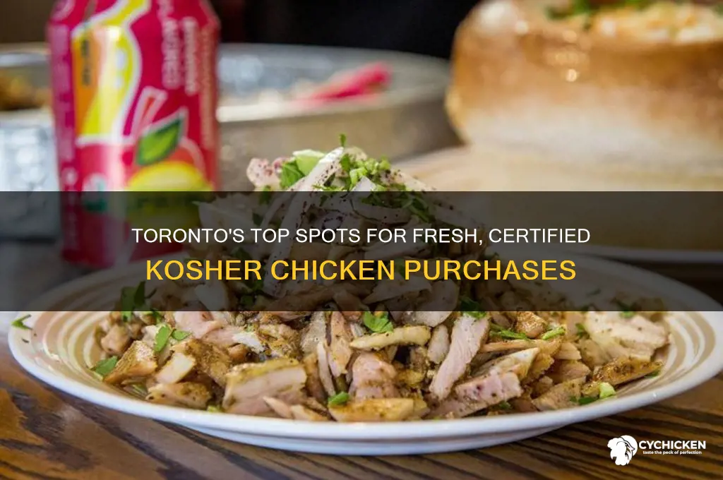 where to buy kosher chicken in toronto