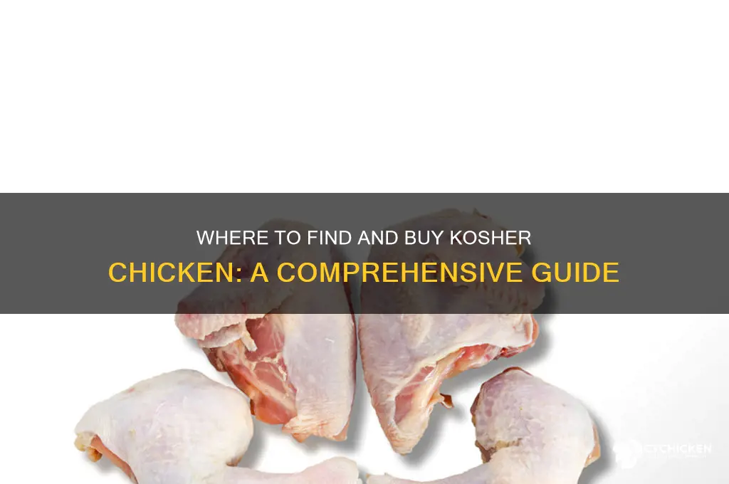 where to buy kosher chicken