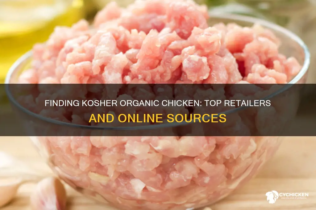 where to buy kosher organic chicken
