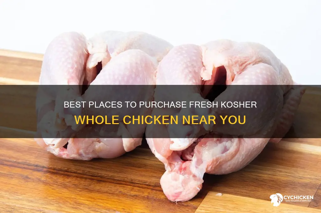 where to buy kosher whole chicken