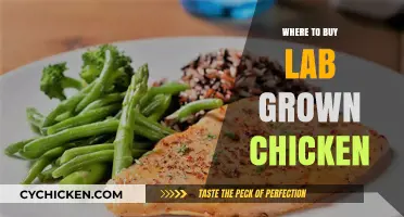 Discover Top Retailers for Lab-Grown Chicken: A Sustainable Choice