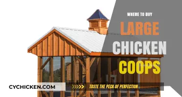 Top Places to Purchase Spacious Chicken Coops for Your Flock