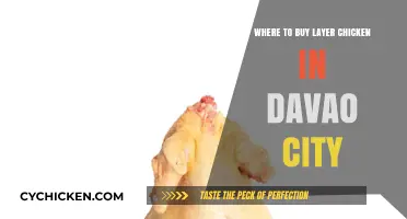 Top Layer Chicken Suppliers in Davao City: Your Ultimate Buying Guide