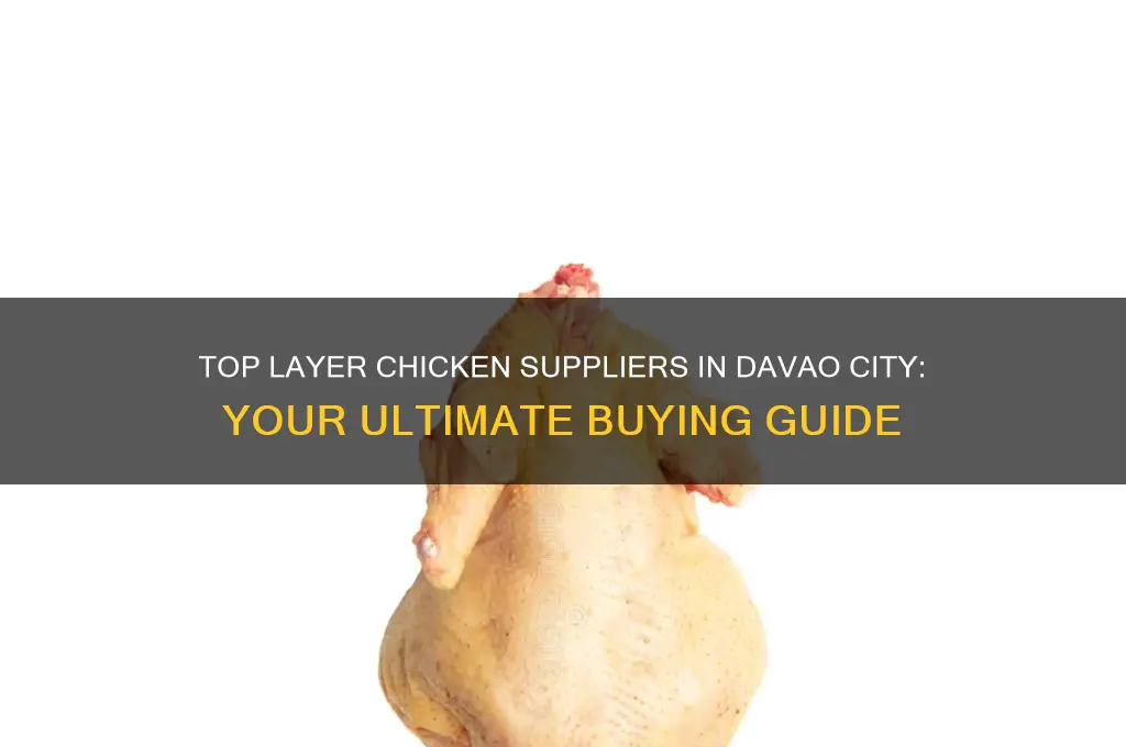 where to buy layer chicken in davao city