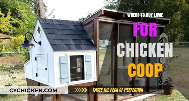 Best Places to Purchase Lime for Your Chicken Coop Maintenance