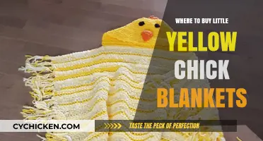 Cozy Finds: Best Places to Buy Little Yellow Chick Blankets