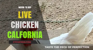 Where to Buy Live Chickens in California: Top Sources and Tips