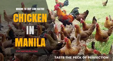 Best Spots to Buy Live Native Chicken in Manila
