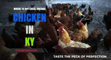 Discover Kentucky's Best Local Organic Chicken Sources Near You