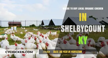 Discover Shelby County KY's Best Local Organic Chicken Sources