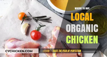 Discover Nearby Farms Selling Fresh, Local Organic Chicken Today