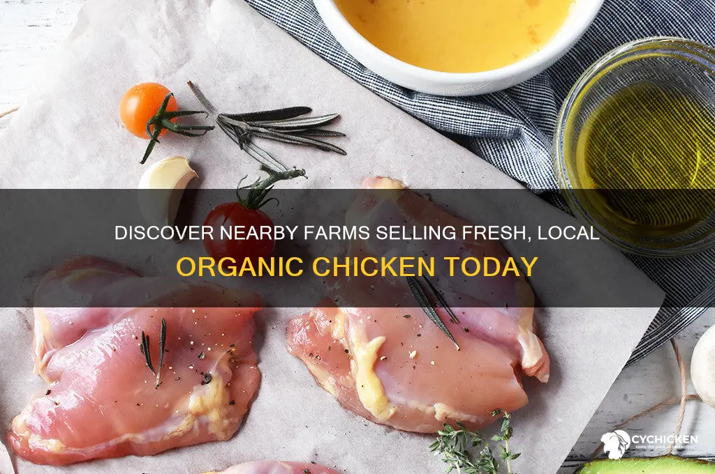 where to buy local organic chicken