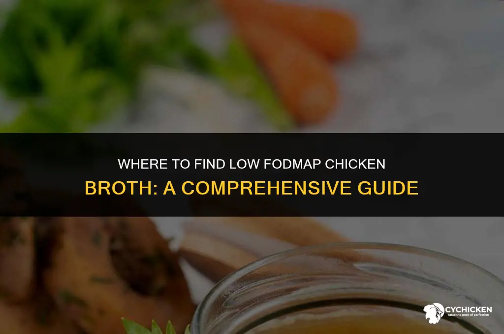 where to buy low fodmap chicken broth