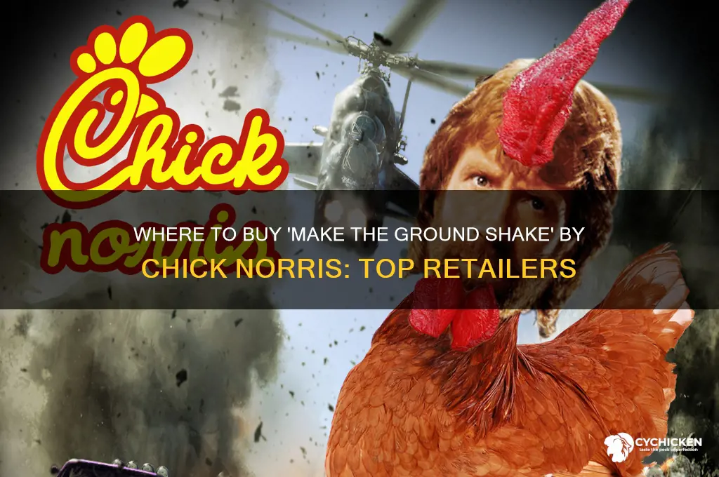 where to buy make the ground shake by chick norris