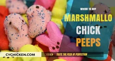 Where to Find Marshmallow Chick Peeps: Top Stores and Online Shops