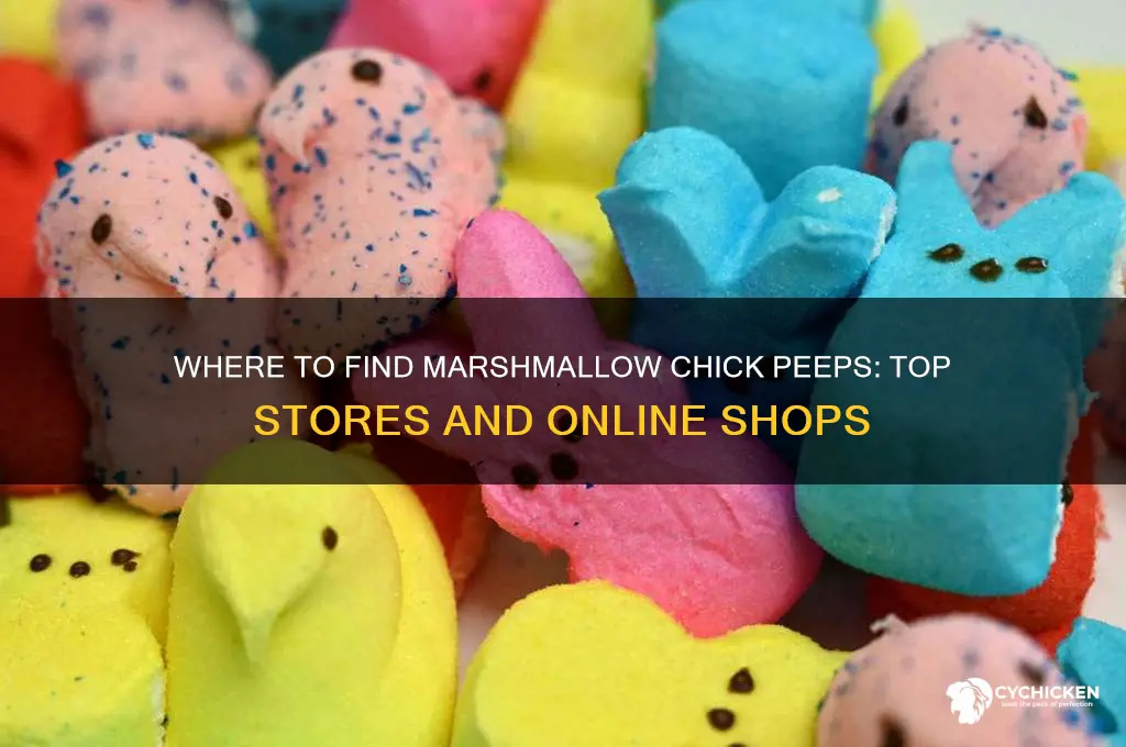 where to buy marshmallow chick peeps