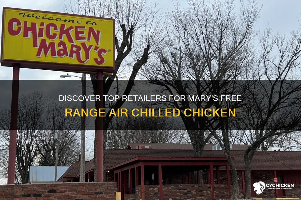 where to buy mary