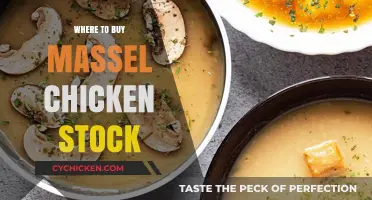 Best Places to Buy Massel Chicken Stock: A Shopper's Guide