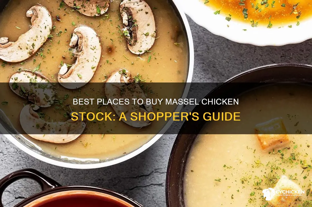 where to buy massel chicken stock