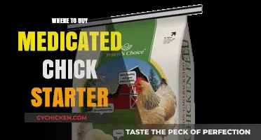 Best Places to Purchase Medicated Chick Starter for Healthy Flocks