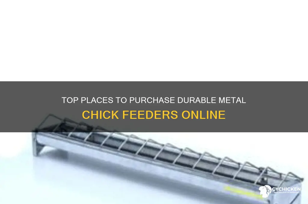 where to buy metal chick feeders
