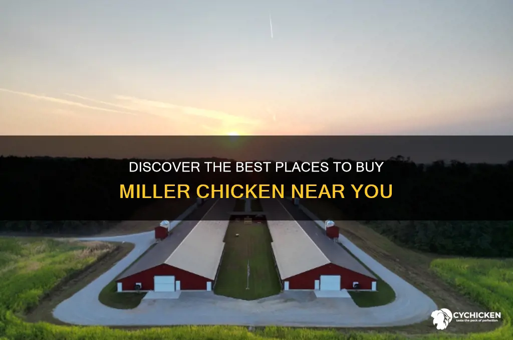 where to buy miller chicken