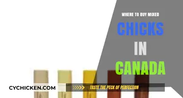 Where to Buy Mixed Chicks Products in Canada: Top Retailers