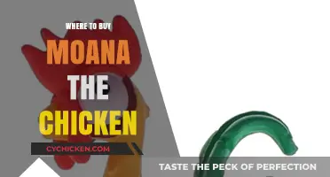 Where to Find Moana the Chicken: Top Retailers and Online Stores