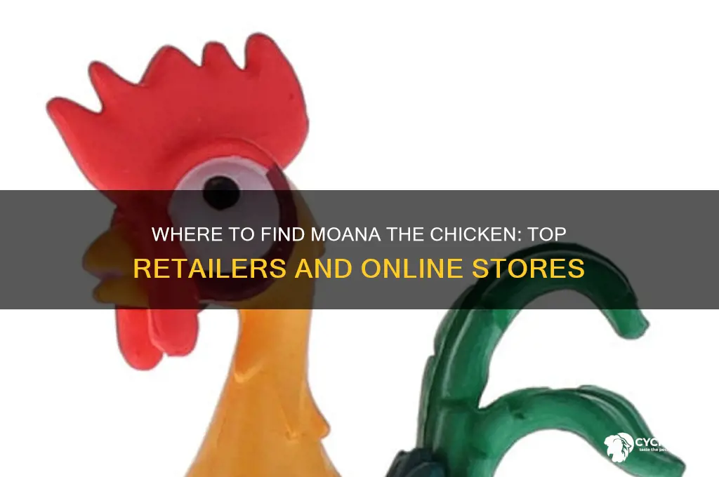 where to buy moana the chicken