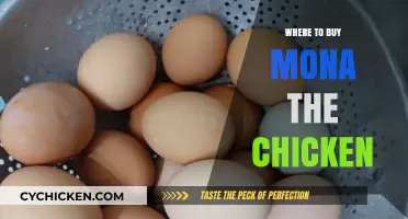 Discover the Best Places to Buy Mona the Chicken Today