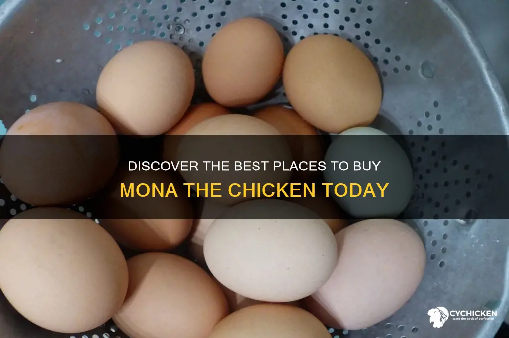 where to buy mona the chicken