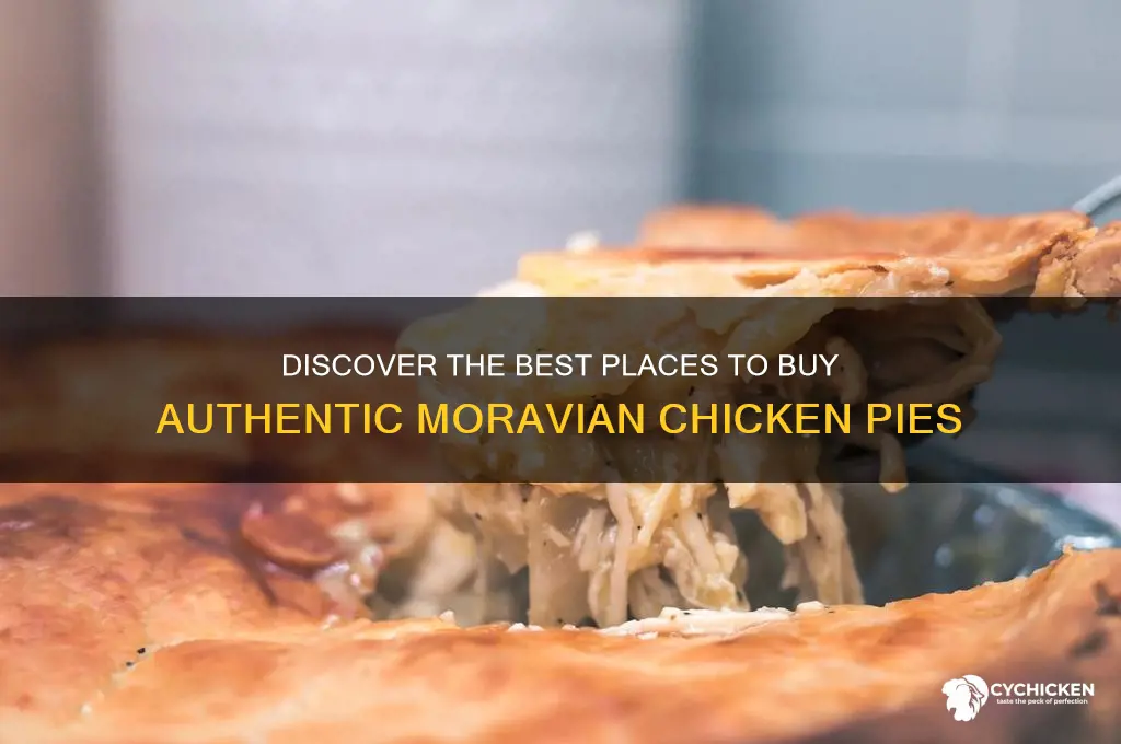 where to buy moravian chicken pies
