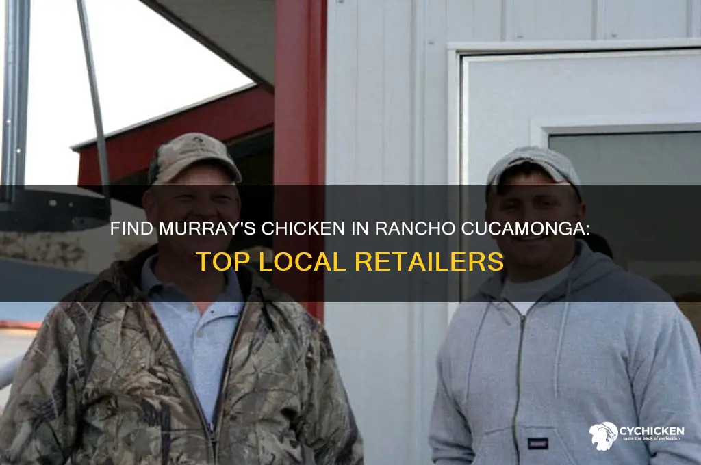 where to buy murray