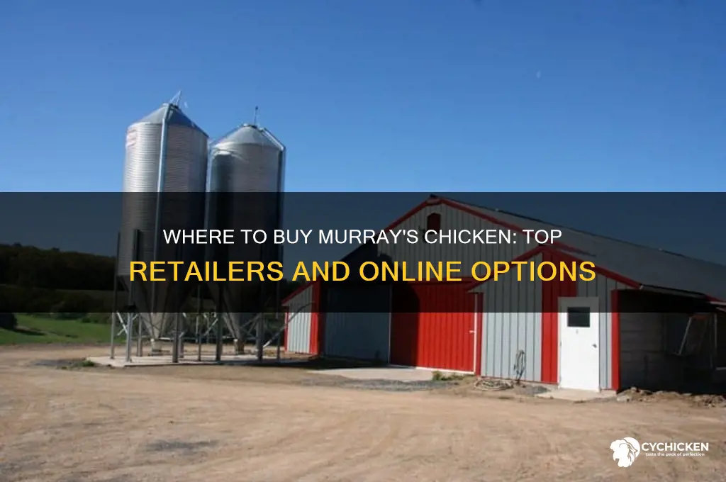 where to buy murray