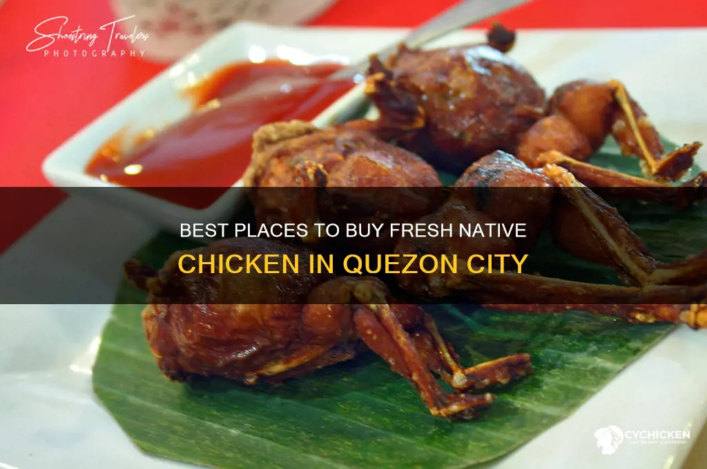 where to buy native chicken in quezon city