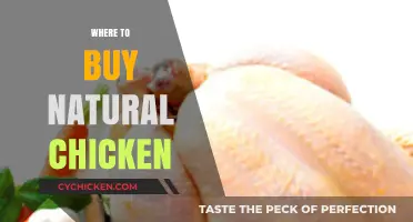 Discover the Best Places to Buy Natural Chicken Near You