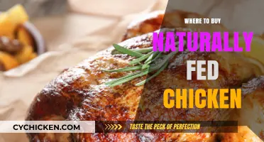 Discover the Best Sources for Naturally Fed Chicken Near You