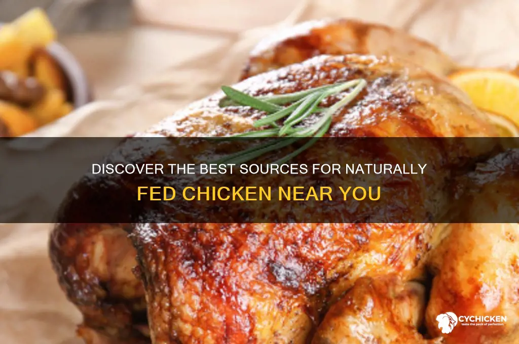 where to buy naturally fed chicken