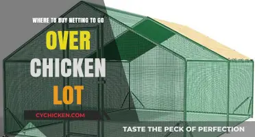 Best Places to Purchase Netting for Your Chicken Coop Enclosure