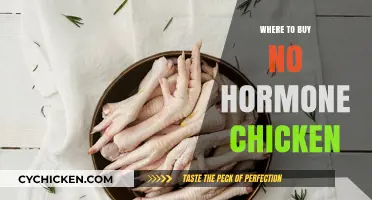 Finding Hormone-Free Chicken: Top Sources for Healthy, Natural Poultry