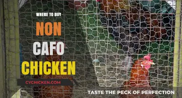 Discover Ethical, Non-CAFO Chicken Sources Near You: A Buyer's Guide