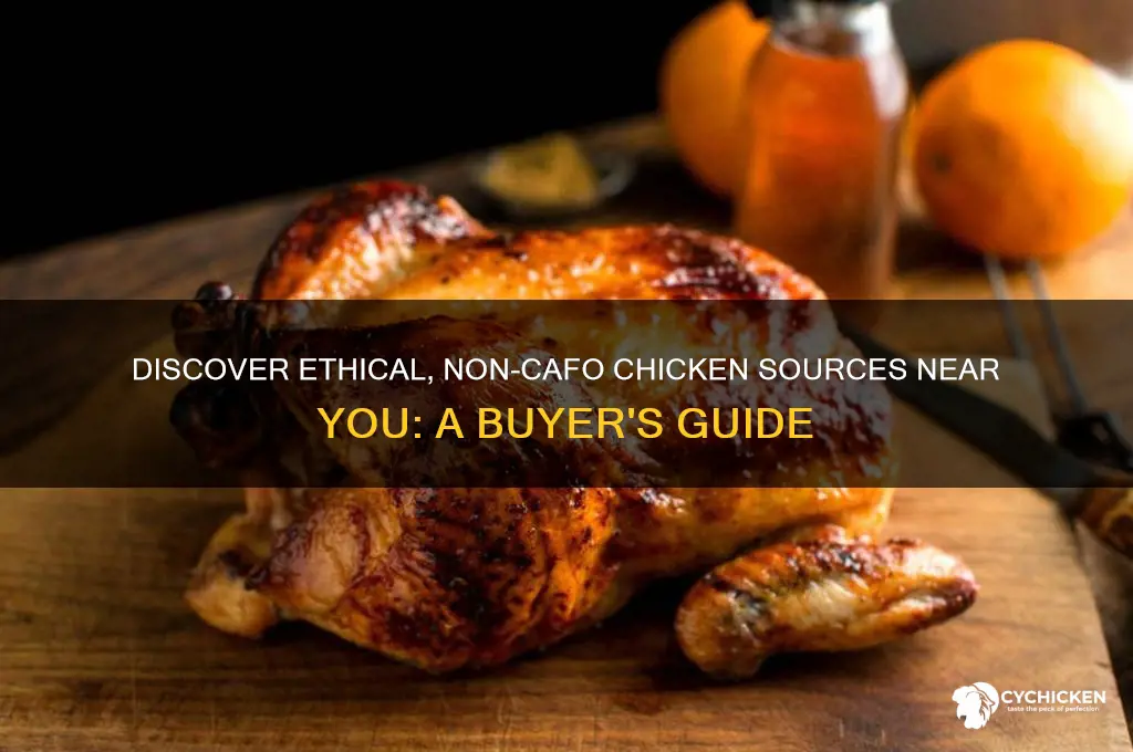 where to buy non cafo chicken