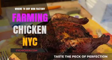 Discover NYC's Best Sources for Ethically Raised, Non-Factory Farm Chicken