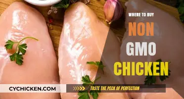 Discover the Best Sources for Non-GMO Chicken Near You