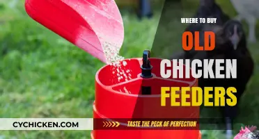 Discover Vintage Chicken Feeders: Best Places to Buy Old Models