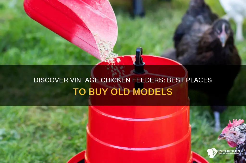 where to buy old chicken feeders