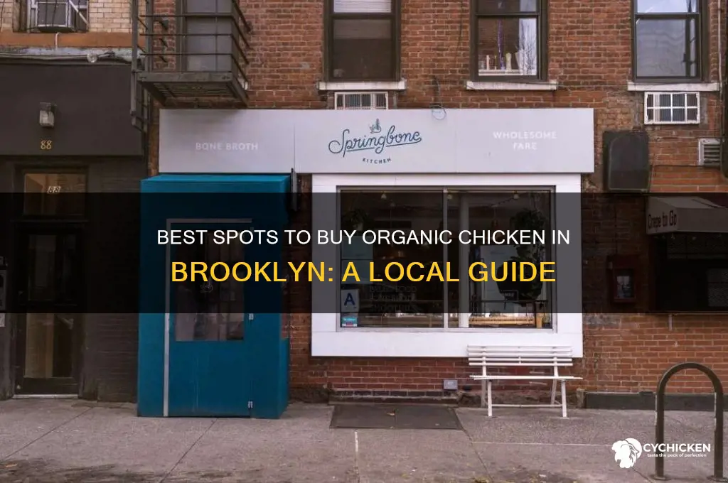 where to buy organic chicken brooklyn