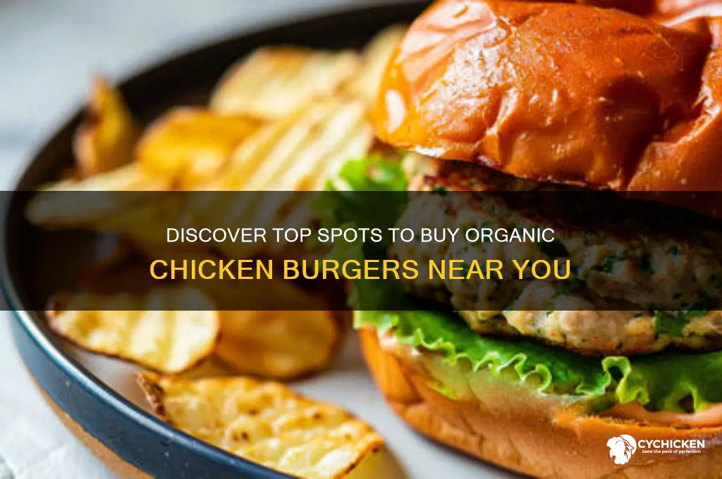 where to buy organic chicken burgers